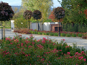 Ogród w górach - Średni z nawierzchnią pokrytą kostką brukową ogród przed domem - zdjęcie od Pracownia Projektowa Architektury Krajobrazu Januszówka