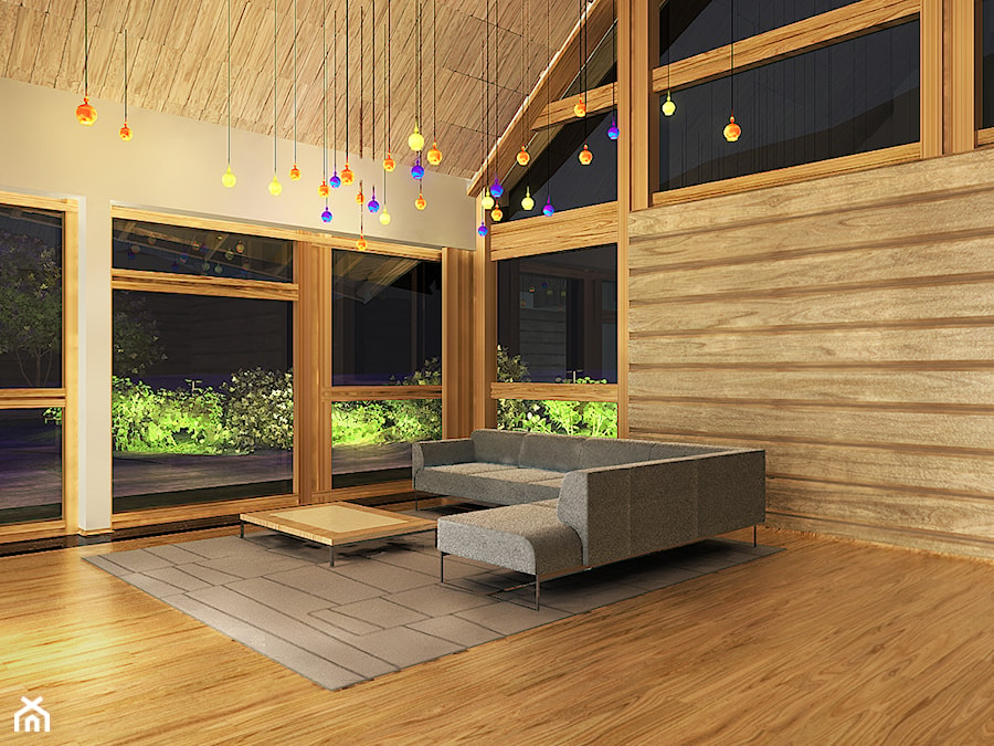 Projekt wnętrz - Salon, styl minimalistyczny - zdjęcie od Pracownia Projektowa Architektury Krajobrazu Januszówka