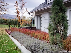 Ogród w górach - Ogród, styl nowoczesny - zdjęcie od Pracownia Projektowa Architektury Krajobrazu Januszówka
