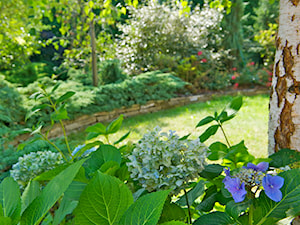 Ogród pełen zieleni - Średni ogród za domem, styl tradycyjny - zdjęcie od Pracownia Projektowa Architektury Krajobrazu Januszówka