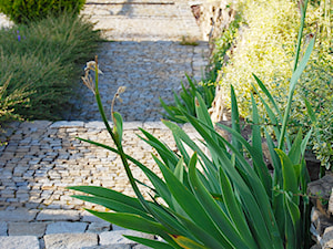 Ogród z tarasem - Średni z kamienną nawierzchnią ogród przed domem, styl tradycyjny - zdjęcie od Pracownia Projektowa Architektury Krajobrazu Januszówka