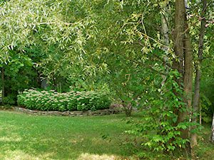 Ogród pełen zieleni - Ogród, styl tradycyjny - zdjęcie od Pracownia Projektowa Architektury Krajobrazu Januszówka