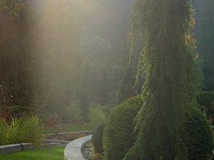 Ogród w górach - Ogród - zdjęcie od Pracownia Projektowa Architektury Krajobrazu Januszówka