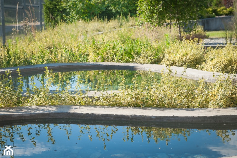 Ogród w Siewierzu - Średni ogród z oczkiem wodnym, styl nowoczesny - zdjęcie od Pracownia Projektowa Architektury Krajobrazu Januszówka