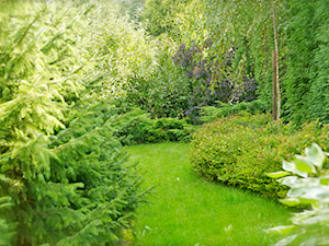 Ogród pełen zieleni - Średni ogród za domem, styl tradycyjny - zdjęcie od Pracownia Projektowa Architektury Krajobrazu Januszówka