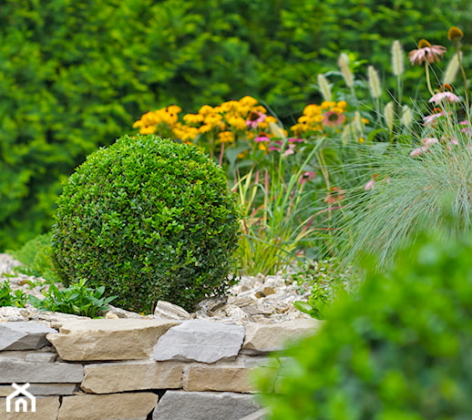 Skarpa w ogrodzie – jak zaaranżować ogród na skarpie? Pomysły i inspiracje