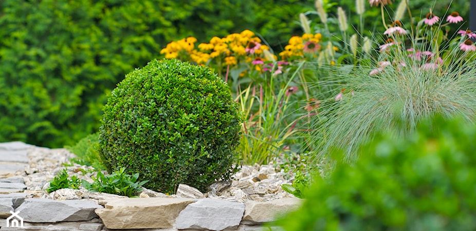 Skarpa w ogrodzie – jak zaaranżować ogród na skarpie? Pomysły i inspiracje