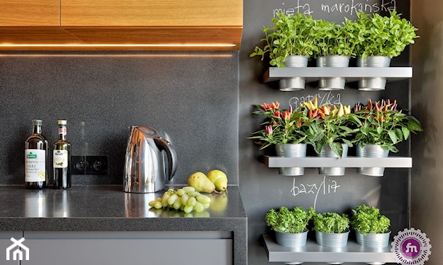 puste ściany w kuchni rośliny