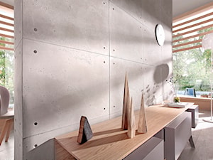 Płyta Beton Architektoniczny struktura porowata - Salon, styl nowoczesny - zdjęcie od Elkamino Dom