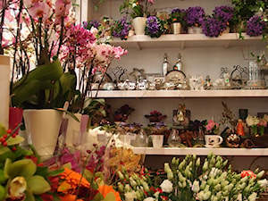 Sieć kwiaciarni Emma - Wnętrza publiczne, styl tradycyjny - zdjęcie od A+D Retail Store Design