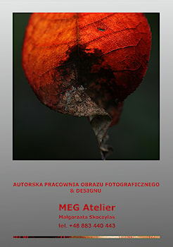 MEG Atelier-Autorska Pracownia Obrazu & Designu