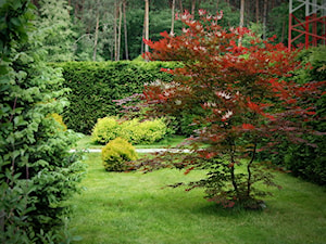 Ogród przy leśniczówce, Mielec - Średni ogród za domem - zdjęcie od Ogrody Mielec