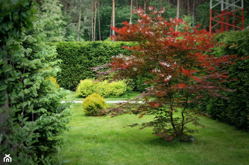 Ogród przy leśniczówce, Mielec - Średni ogród za domem - zdjęcie od Ogrody Mielec - Homebook