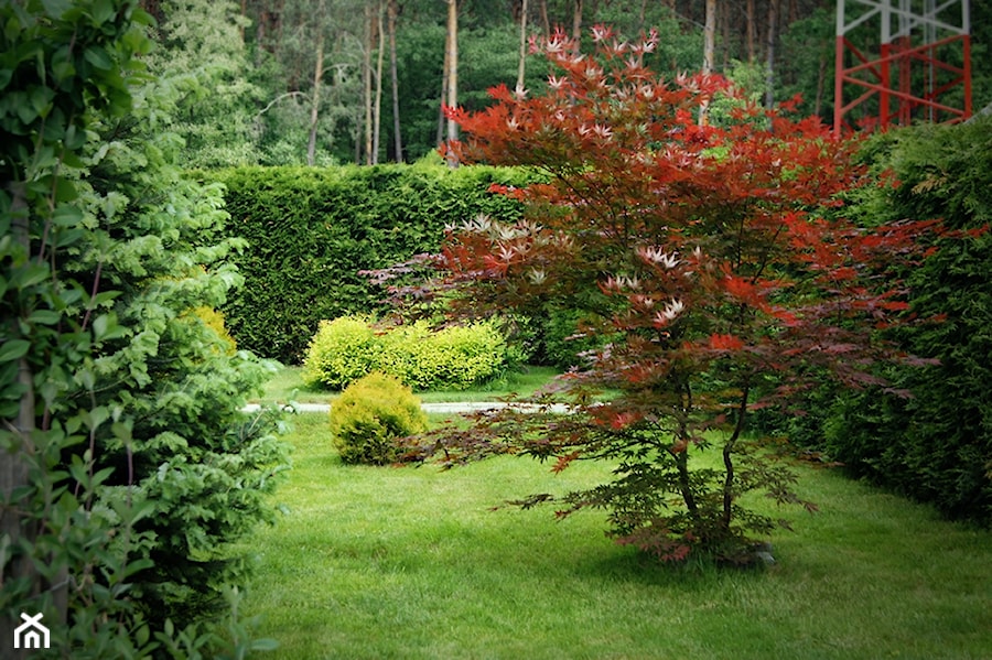 Ogród przy leśniczówce, Mielec - Średni ogród za domem - zdjęcie od Ogrody Mielec