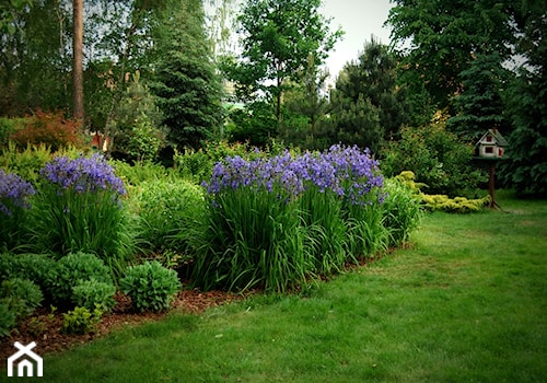 Ogród przy leśniczówce, Mielec - Duży ogród za domem - zdjęcie od Ogrody Mielec