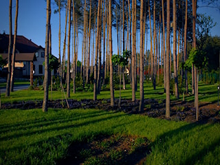 Ogród przy Hotelu Rado