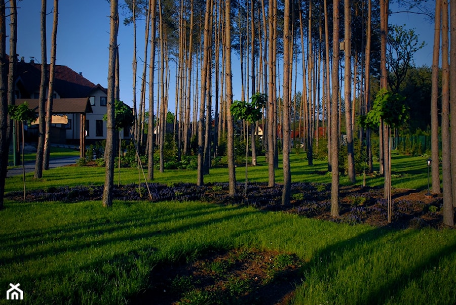 Ogród przy Hotelu Rado - Ogród, styl tradycyjny - zdjęcie od Ogrody Mielec