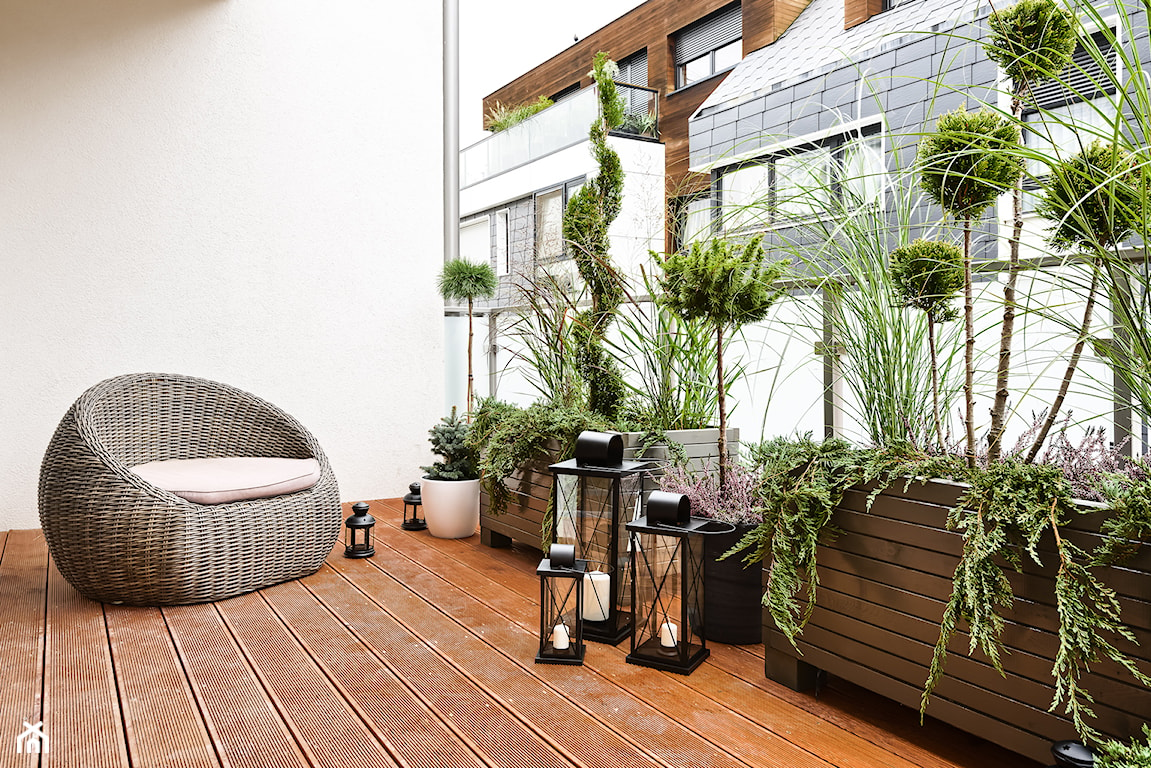 piękny balkon z roślinami w donicach i rattanowym fotelem