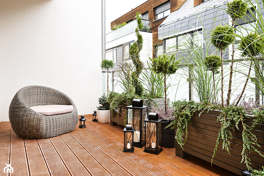 Mieszkanie pokazowe - Średni z podłogą z desek z donicami na kwiaty taras, styl skandynawski - zdjęcie od Q2Design