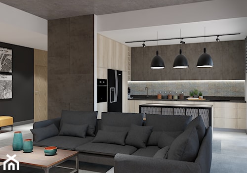 Apartament w Katowicach w loftowym stylu - Mały szary salon z kuchnią z jadalnią - zdjęcie od Maciejewska Design
