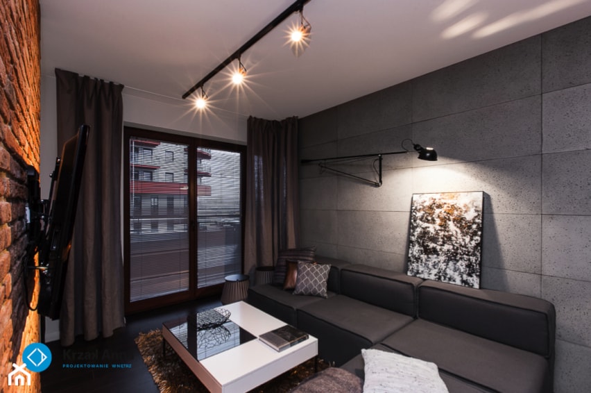 mieszkanie kawalera - Mały szary salon, styl nowoczesny - zdjęcie od Anna Krzak architektura wnętrz