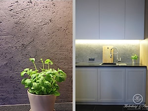 KONESER - Średnia zamknięta z kamiennym blatem szara z nablatowym zlewozmywakiem kuchnia jednorzędowa, styl industrialny - zdjęcie od Kołodziej & Szmyt Projektowanie Wnętrz