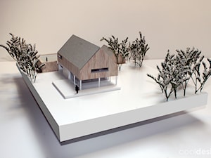 Koncepcja domu jednorodzinnego/Single-family house concept