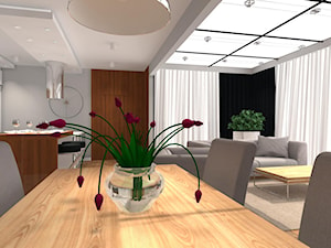 Apartament z oranżerią - Salon, styl nowoczesny - zdjęcie od Studio eM2 Architektura Wnętrz