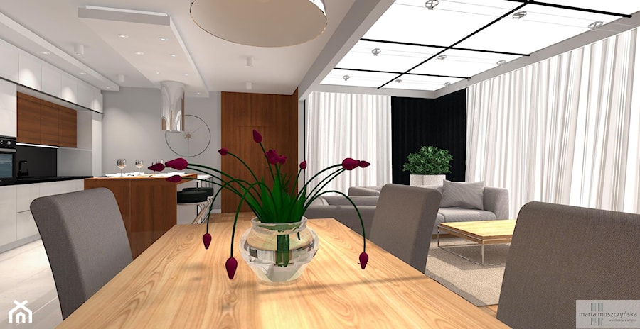 Apartament z oranżerią - Salon, styl nowoczesny - zdjęcie od Studio eM2 Architektura Wnętrz