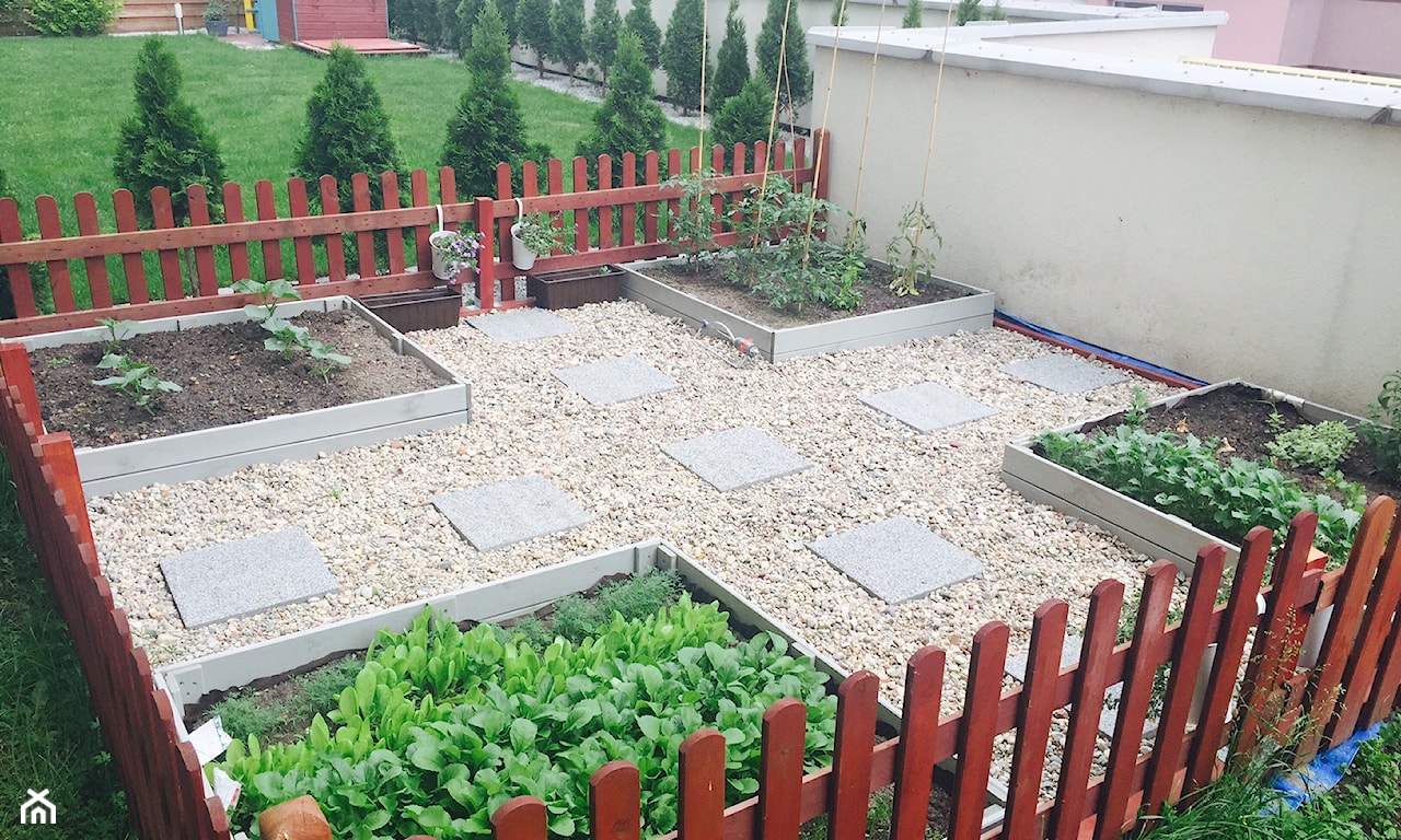 jak oddzielić ogródek warzywny od ogrodu