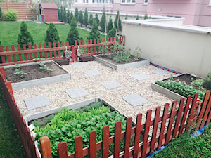 Ogród warzywny – jak zaplanować ogród warzywny?