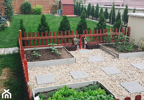 Moje zielone made in warsaw - Duży z nawierzchnią pokrytą kostką brukową ogród z ogródkiem warzywnym za domem, styl tradycyjny - zdjęcie od martynka