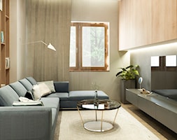 Wnętrze domu Grodzisk Mazowiecki - Salon, styl nowoczesny - zdjęcie od APkwadrat - Homebook