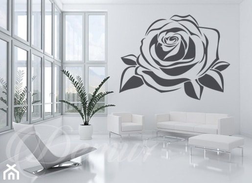 Rozkwitnięta róża - zdjęcie od Demur - Homebook