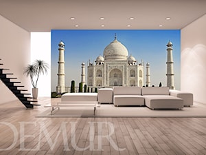 Taj Mahal w roli głównej - zdjęcie od Demur