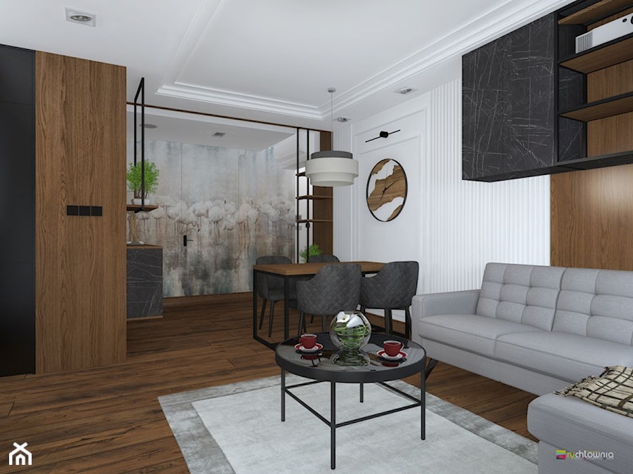 APARTAMENT W KRAKOWIE - Salon, styl nowoczesny - zdjęcie od Studio Architektury Wnętrz "rychtownia"