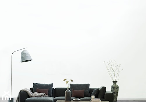 Salon, styl minimalistyczny - zdjęcie od loftbar.pl