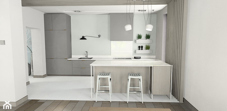 Projekt parteru domu w stylu nowoczesnym. - Kuchnia - zdjęcie od Studio decor