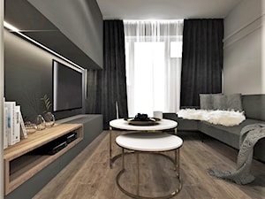 Metamorfoza 47m2 mieszkania w Centrum Warszawy - Salon, styl nowoczesny - zdjęcie od Dominika Borejza DB-wnętrze