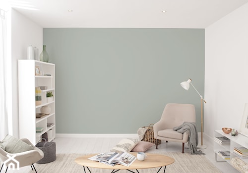 Nowości 2019 - Mały biały szary salon, styl minimalistyczny - zdjęcie od Dulux