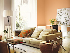Pokoje dzienne - Średni pomarańczowy szary salon z jadalnią z tarasem / balkonem, styl rustykalny - zdjęcie od Dulux