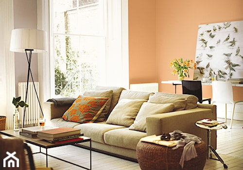 Pokoje dzienne - Średni pomarańczowy szary salon z jadalnią z tarasem / balkonem, styl rustykalny - zdjęcie od Dulux