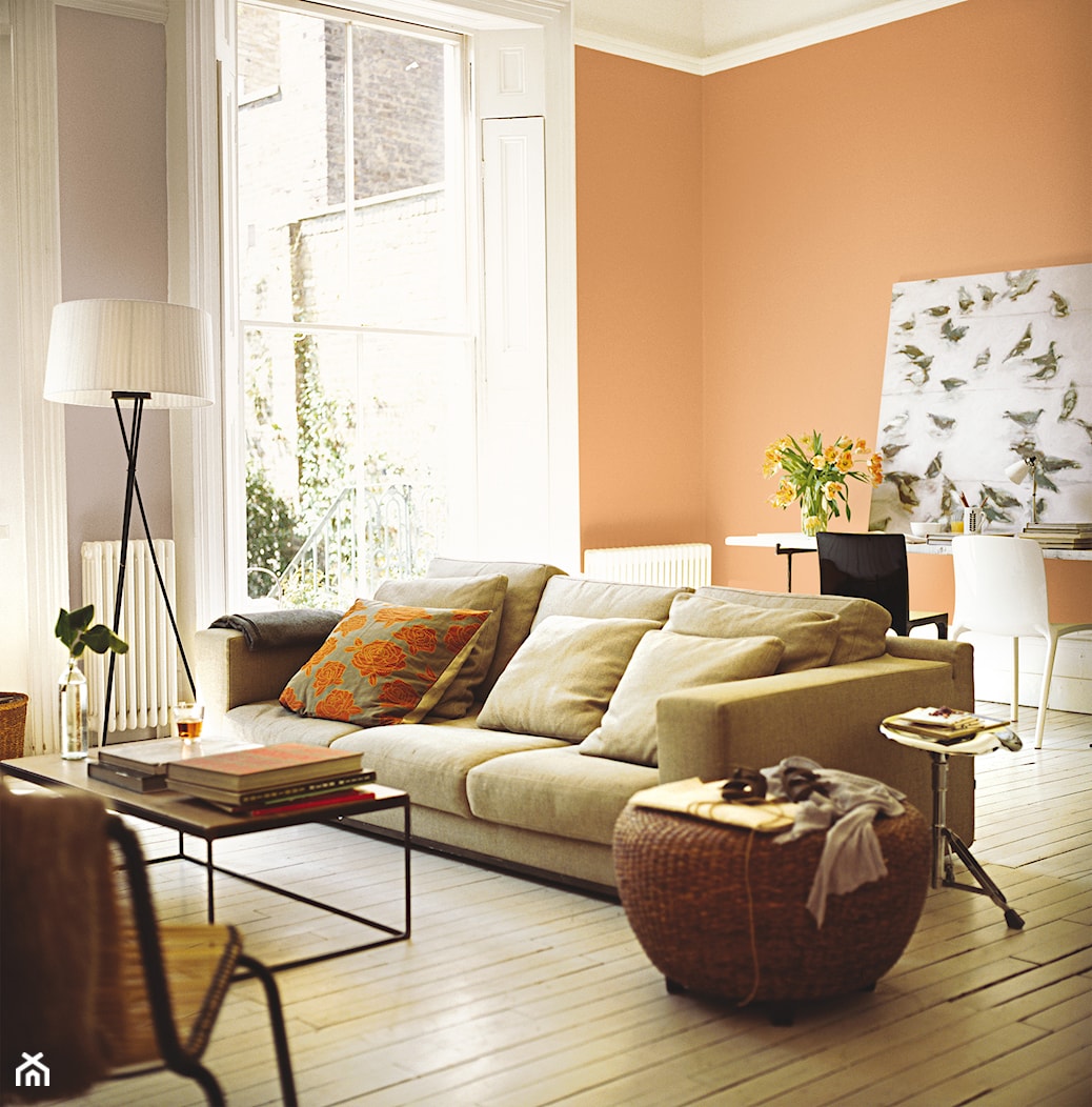 Pokoje dzienne - Średni pomarańczowy szary salon z jadalnią z tarasem / balkonem, styl rustykalny - zdjęcie od Dulux - Homebook