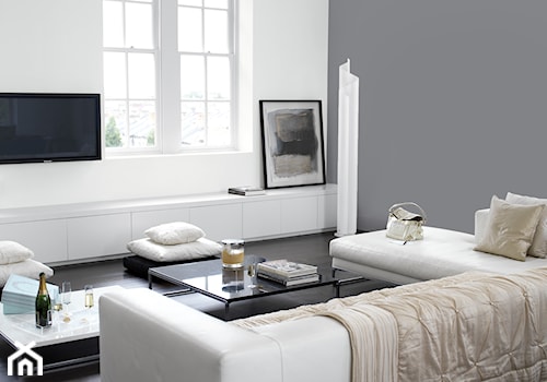 Pokoje dzienne - Średni biały szary salon, styl nowoczesny - zdjęcie od Dulux