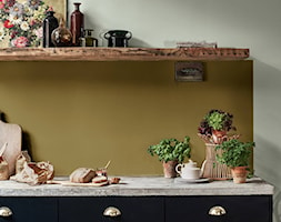 Kolor Roku 2020 - Mała zamknięta szara zielona kuchnia jednorzędowa, styl rustykalny - zdjęcie od Dulux - Homebook