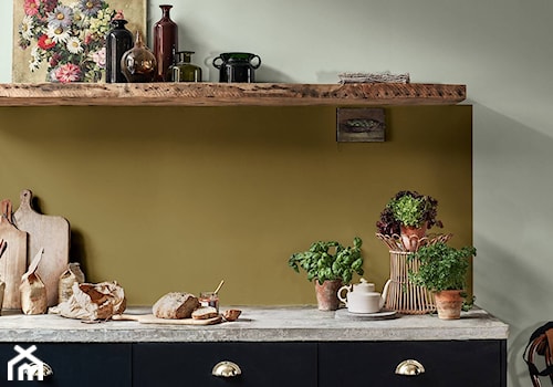 Kolor Roku 2020 - Mała zamknięta z kamiennym blatem szara zielona kuchnia jednorzędowa, styl rustykalny - zdjęcie od Dulux