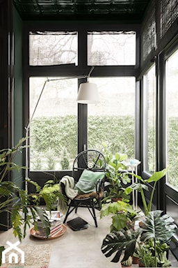 rośliny we wnętrzu, zielone ściany, brązowe okiennice