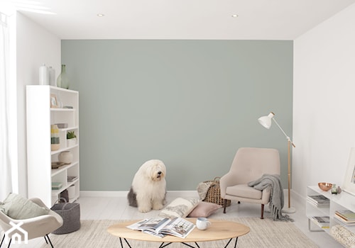 Nowości 2019 - Mały biały zielony salon, styl nowoczesny - zdjęcie od Dulux