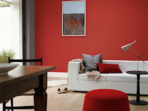 Pokoje dzienne - Salon, styl minimalistyczny - zdjęcie od Dulux
