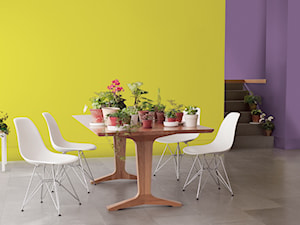 Kuchnie i jadalnie - Średnia fioletowa żółta jadalnia jako osobne pomieszczenie - zdjęcie od Dulux
